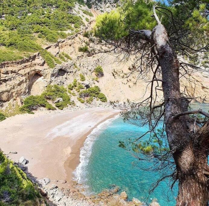 Summer in ALCUDIA with Pool-A/C-WIFI-Netflix... - Apartamento de 1 dormitorio - 6