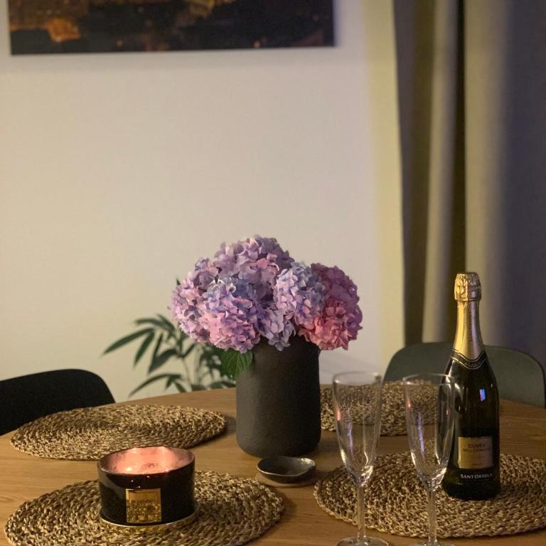 Belgrade Waterfront Sunshine apartment - Apartman sa 1 Spavaćom Sobom - 7