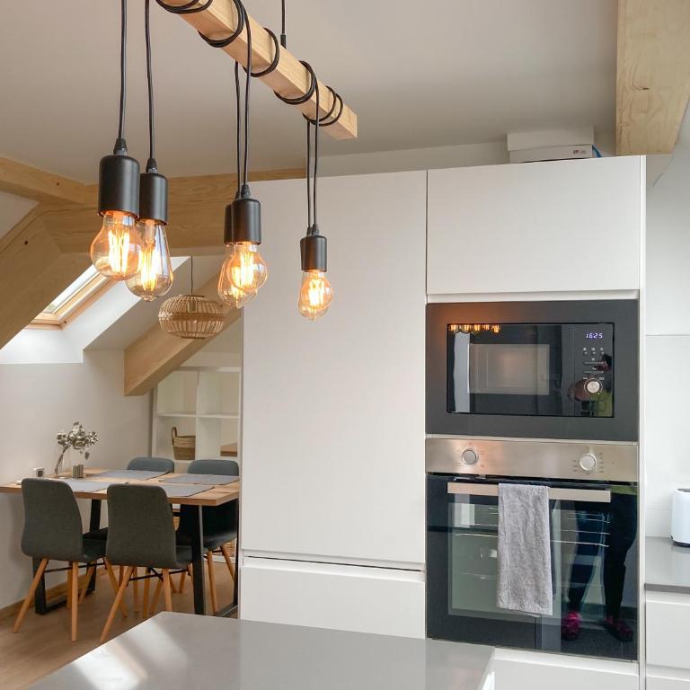 Agro Lux Apartment - Milenović - Apartman sa 1 Spavaćom Sobom - 18