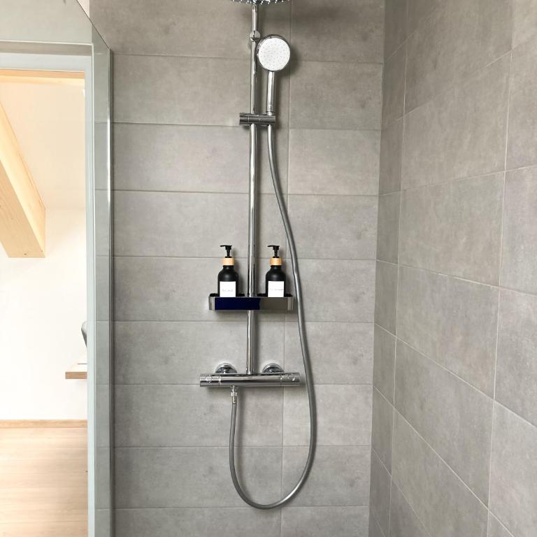 Agro Lux Apartment - Milenović - Apartman sa 1 Spavaćom Sobom - 11