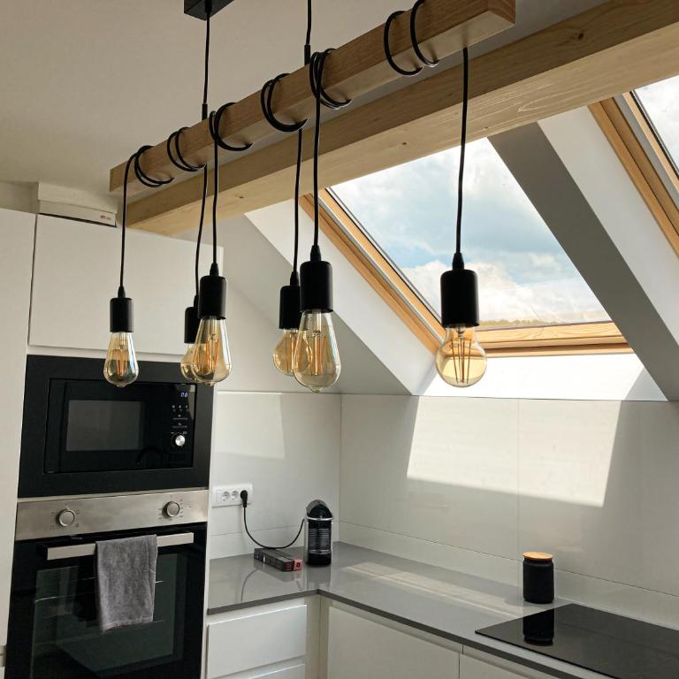 Agro Lux Apartment - Milenović - Apartman sa 1 Spavaćom Sobom - 13