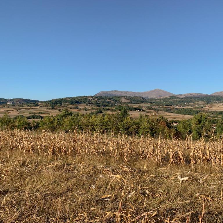 Agro Lux Apartment - Milenović - Apartman sa 1 Spavaćom Sobom - 28