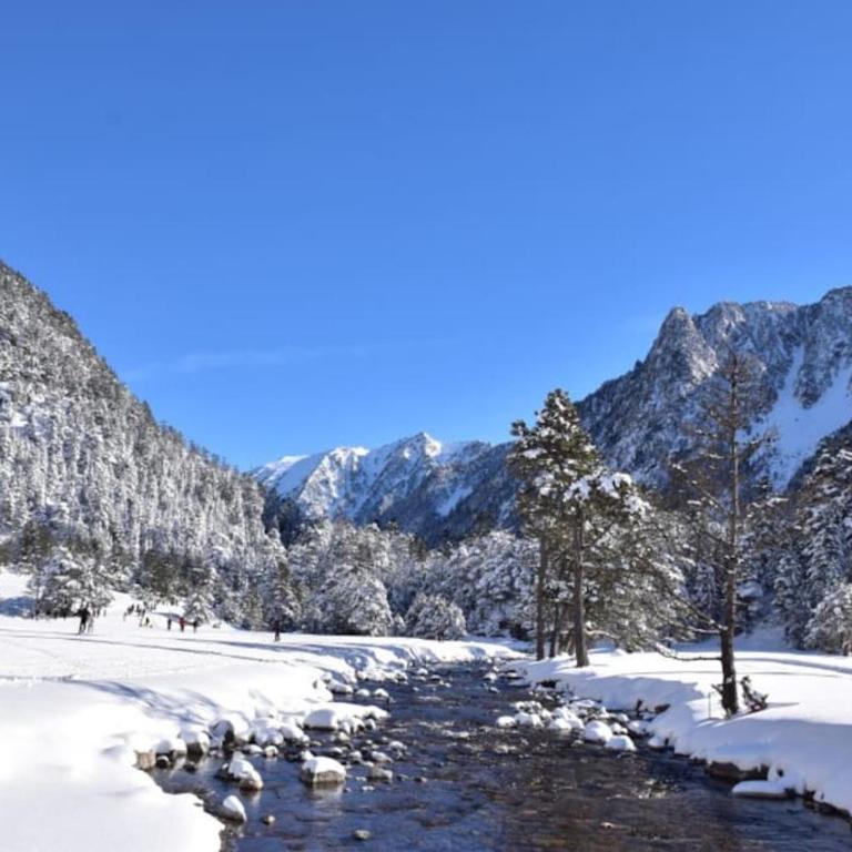 LE CERF BLANC*** - T4 au pied des Thermes Cauterets - 3 chb et 2 sde - Apartment mit 3 Schlafzimmern - 17