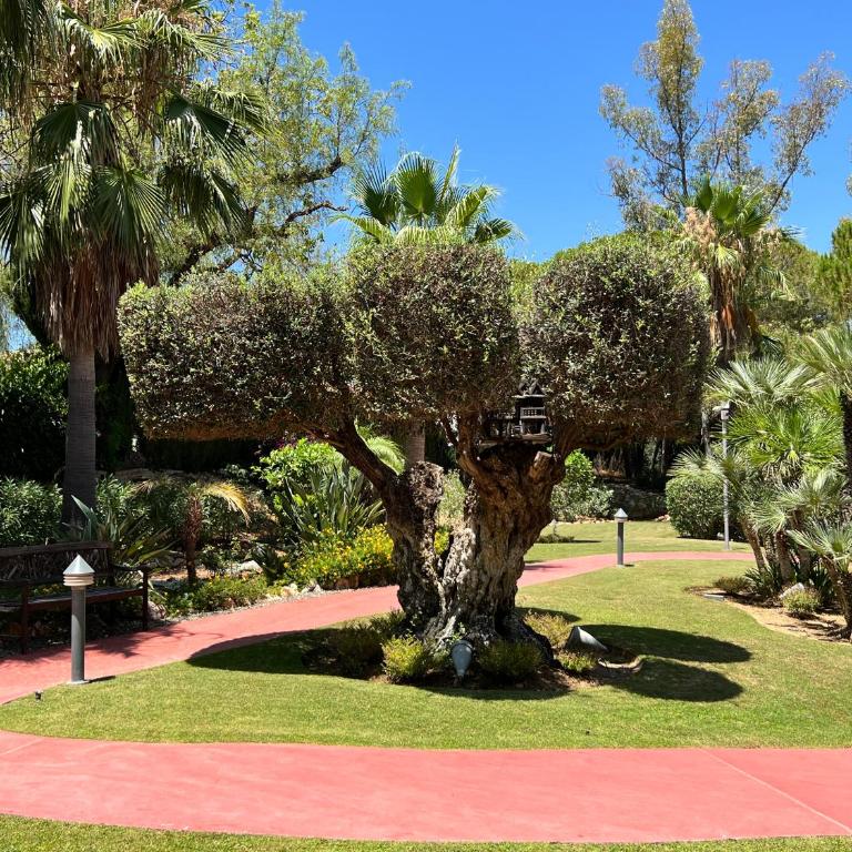 Luxury and Relax in Marbella - Apartamento de 2 dormitorios - 30