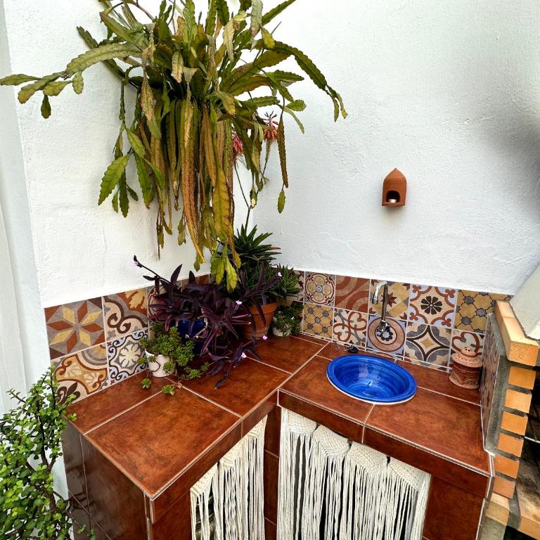 La Barrosa duplex - Casa de 2 dormitorios - 30
