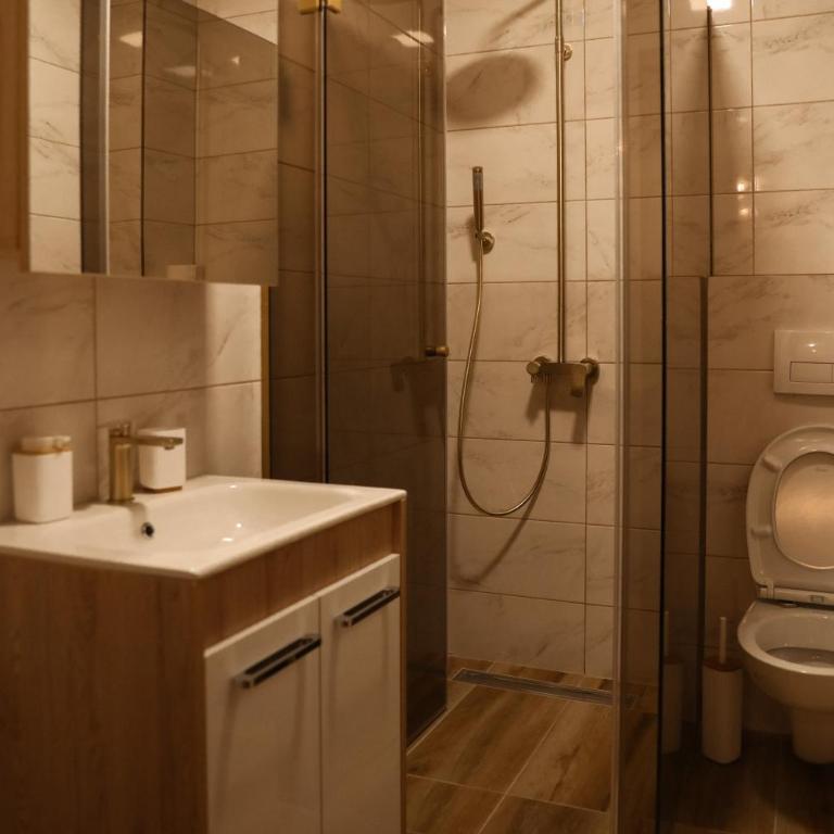GOLDEN VIEW Sokobanja - Apartman sa 2 Spavaće Sobe - 8
