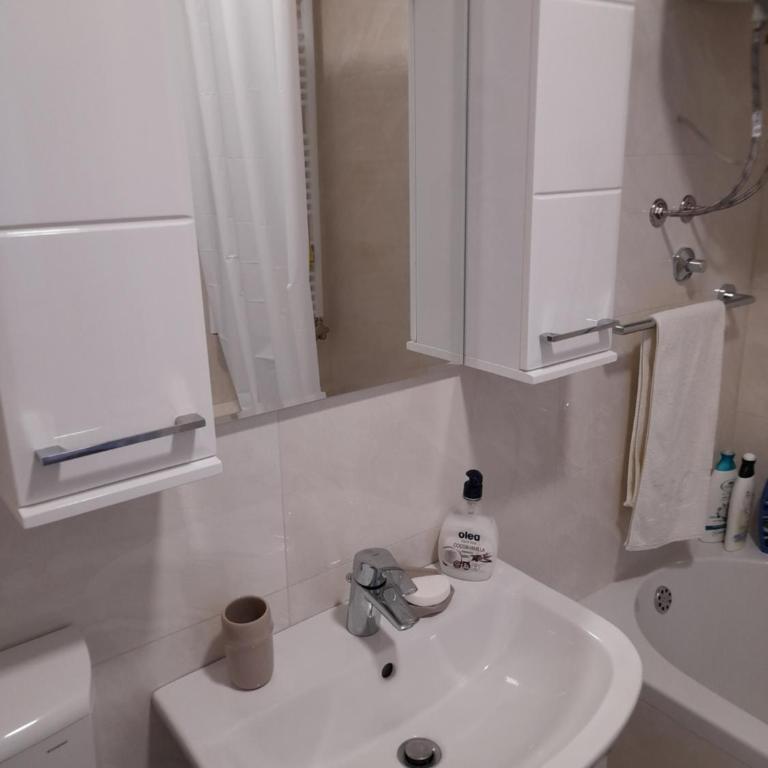 Apartman Lena - Apartman sa 1 Spavaćom Sobom - 18