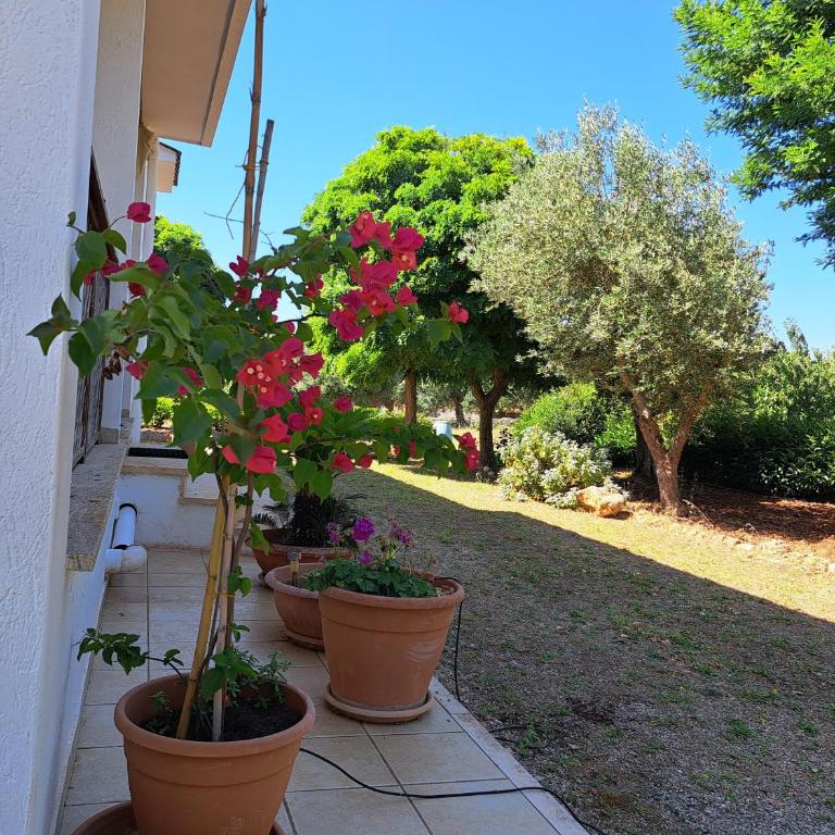 Case Vacanza Villa Bianca - Casa Vacanze - 39