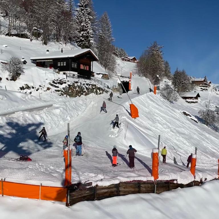 La Pourvoirie - 4 Vallées - Thyon-Les Collons, 10 pers, ski à 200 m, 4 parkings, vue fantastique ! - Superior Chalet - 45