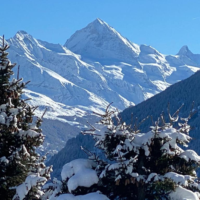 La Pourvoirie - 4 Vallées - Thyon-Les Collons, 10 pers, ski à 200 m, 4 parkings, vue fantastique ! - Superior Chalet - 34