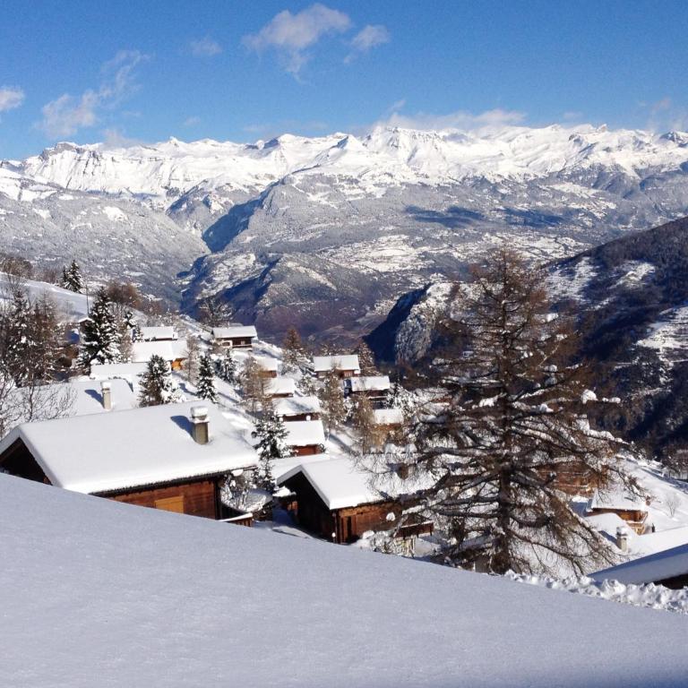 La Pourvoirie - 4 Vallées - Thyon-Les Collons, 10 pers, ski à 200 m, 4 parkings, vue fantastique ! - Superior Chalet - 29