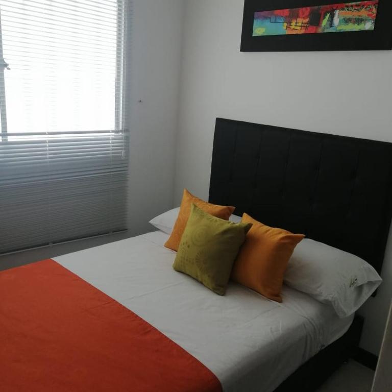 Aptos Economicos cerca al Parque del Cafe - Apartamento de 2 dormitorios - 4