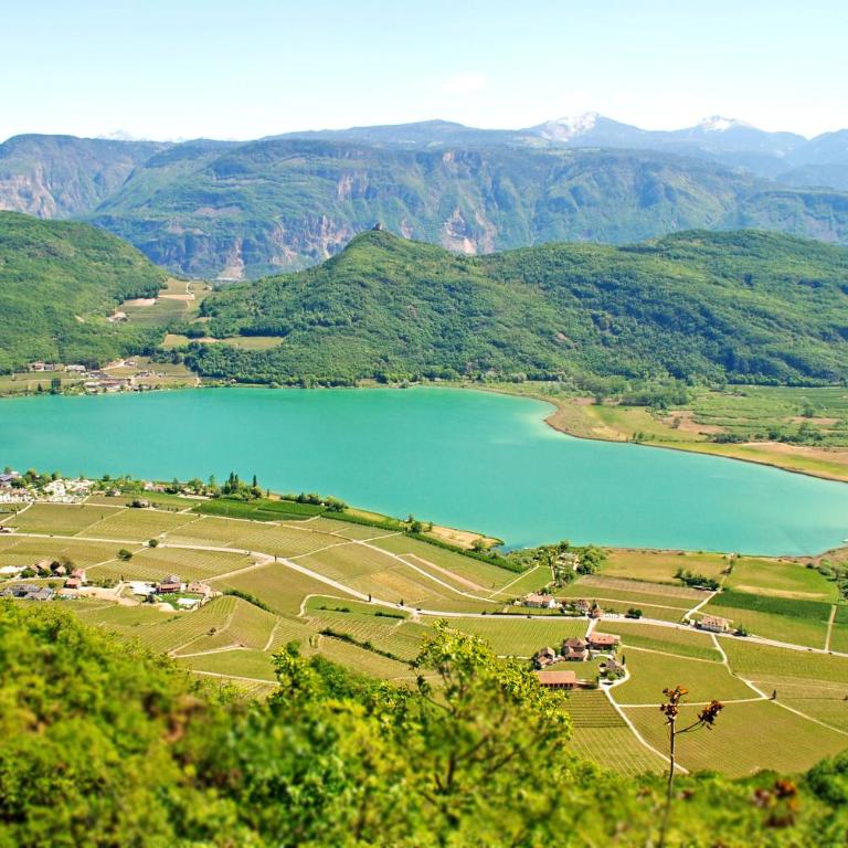 Ferienwohnung Seespiegel direkt am Kalterer See - Appartamento con Vista Lago - 20