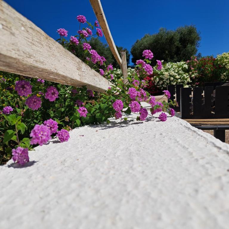 Casa di campagna - Casa con 1 Camera da Letto - 13