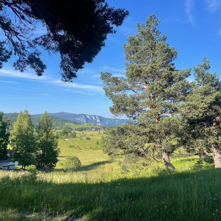 Kuca Dacica - Three-Bedroom House - 3