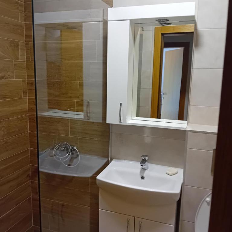 Vesna M - Apartman sa 1 Spavaćom Sobom - 20