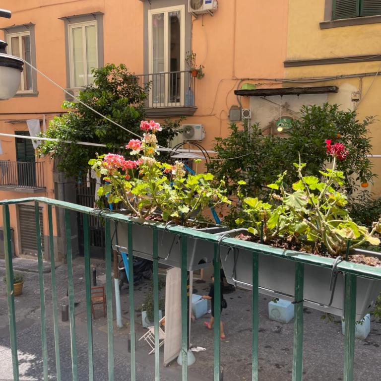 Caterina 70 - Appartamento con 2 Camere da Letto - 8