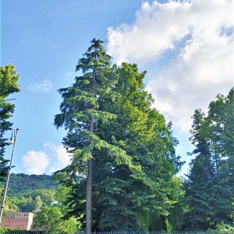 FRONTE del GOLF - Appartamento con 1 Camera da Letto - 53