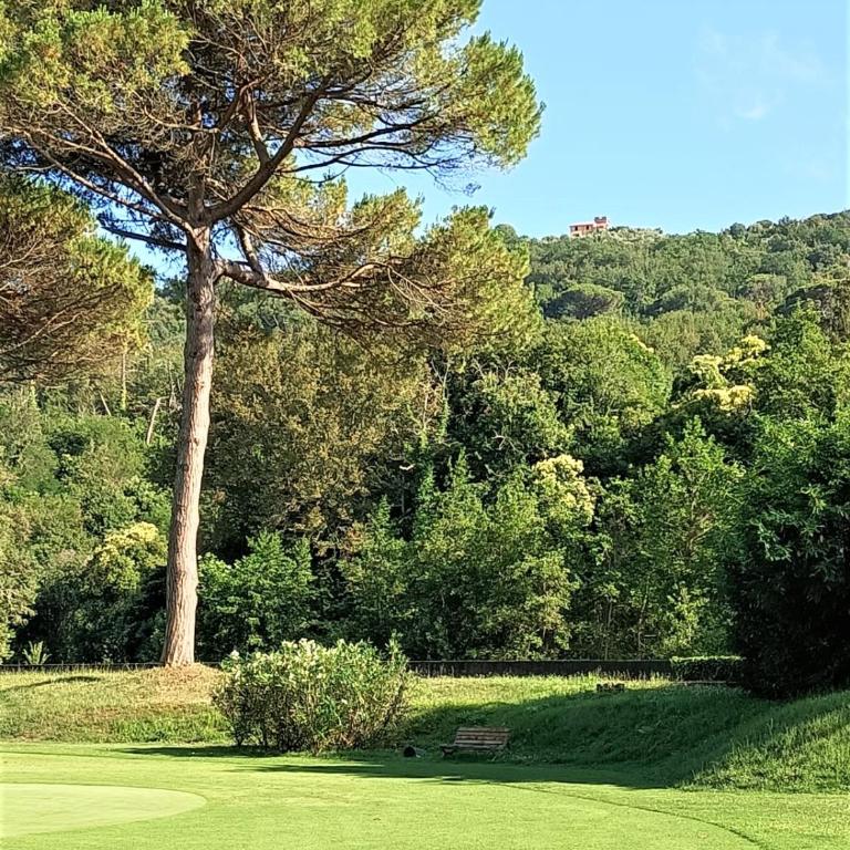 FRONTE del GOLF - Appartamento con 1 Camera da Letto - 61