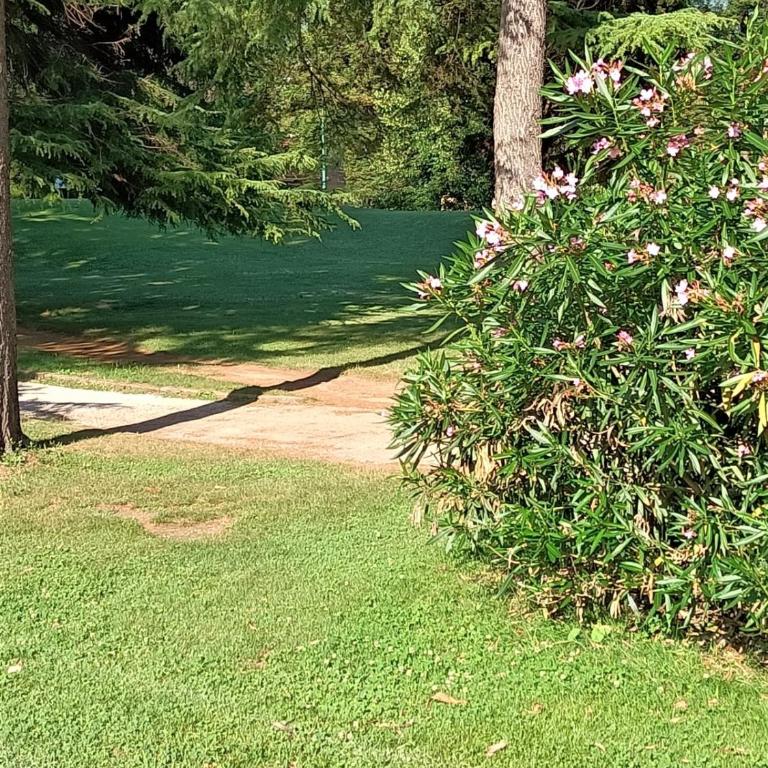 FRONTE del GOLF - Appartamento con 1 Camera da Letto - 65