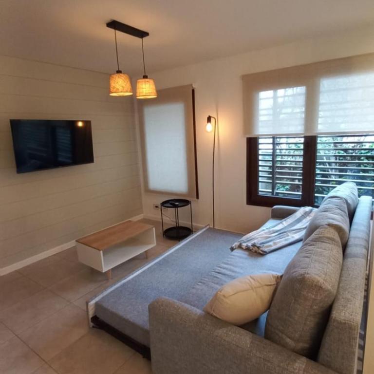 Amplio departamento de diseño en el centro de SMA. 6C - Apartamento de 1 dormitorio - 12