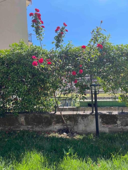 Casa Ale 5 Terre Guest House con giardino - Appartamento con 1 Camera da Letto - 15