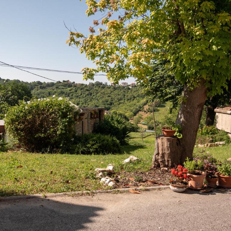 Cortile nel Conero - Appartamento con 1 Camera da Letto - 15