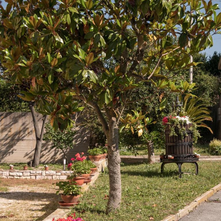 Cortile nel Conero - Appartamento con 1 Camera da Letto - 19