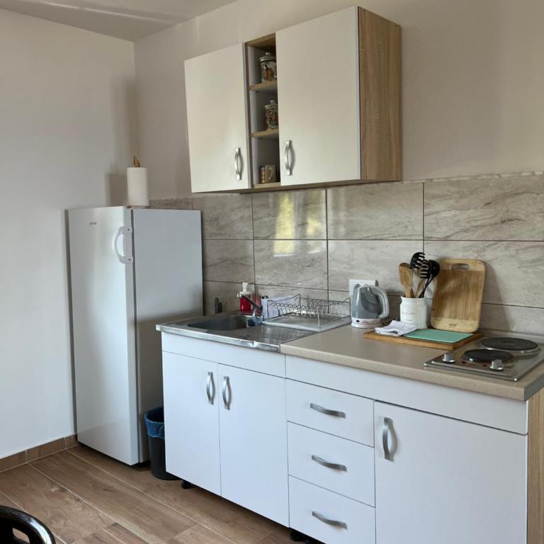Apartments Andrović - Apartman sa 2 Spavaće Sobe, Terasom i Pogledom na More - 11