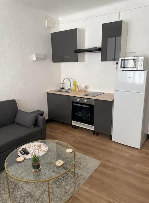 Magnifique T1 Bis entièrement refait à neuf - Apartment mit 1 Schlafzimmer - 2