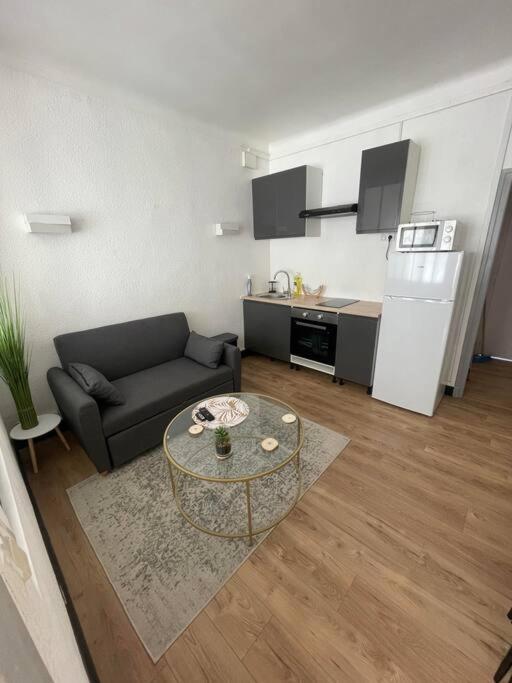 Magnifique T1 Bis entièrement refait à neuf - Apartment mit 1 Schlafzimmer - 5
