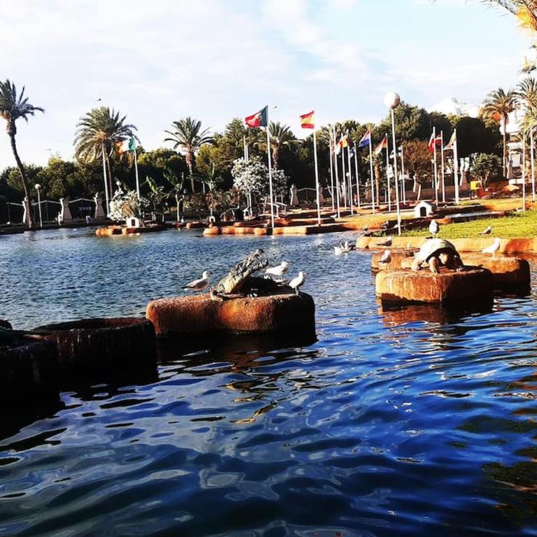 Adventure Harbour - Apartamento de 2 dormitorios - 21