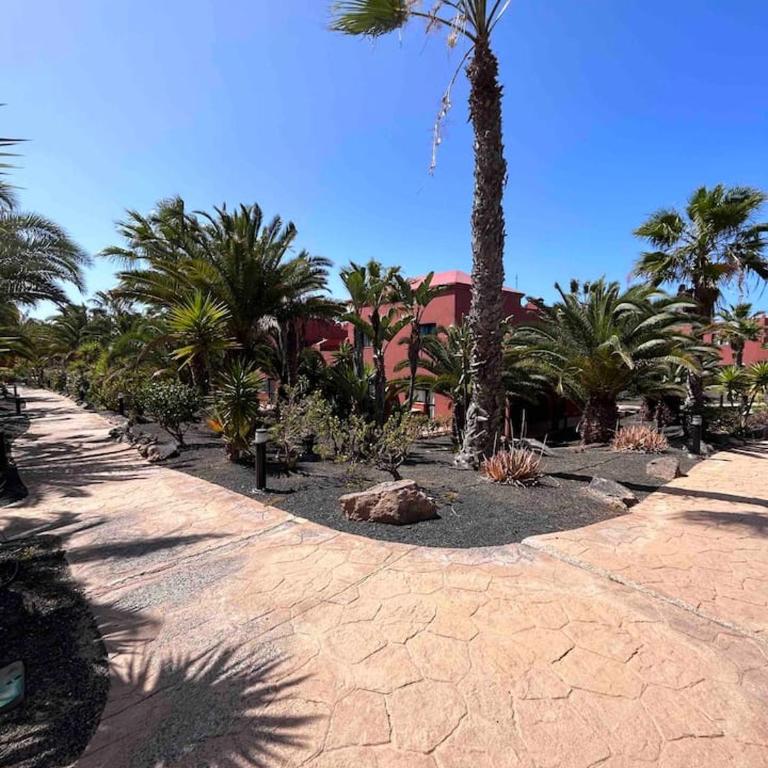 Sun & Sea Apartment in Corralejo - Apartamento de 1 dormitorio - 35