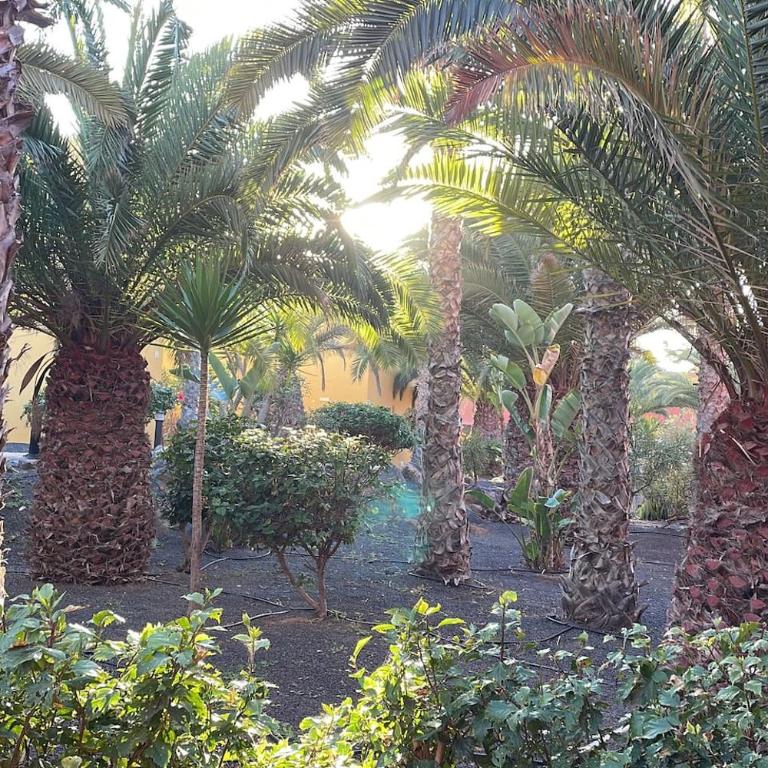 Sun & Sea Apartment in Corralejo - Apartamento de 1 dormitorio - 33