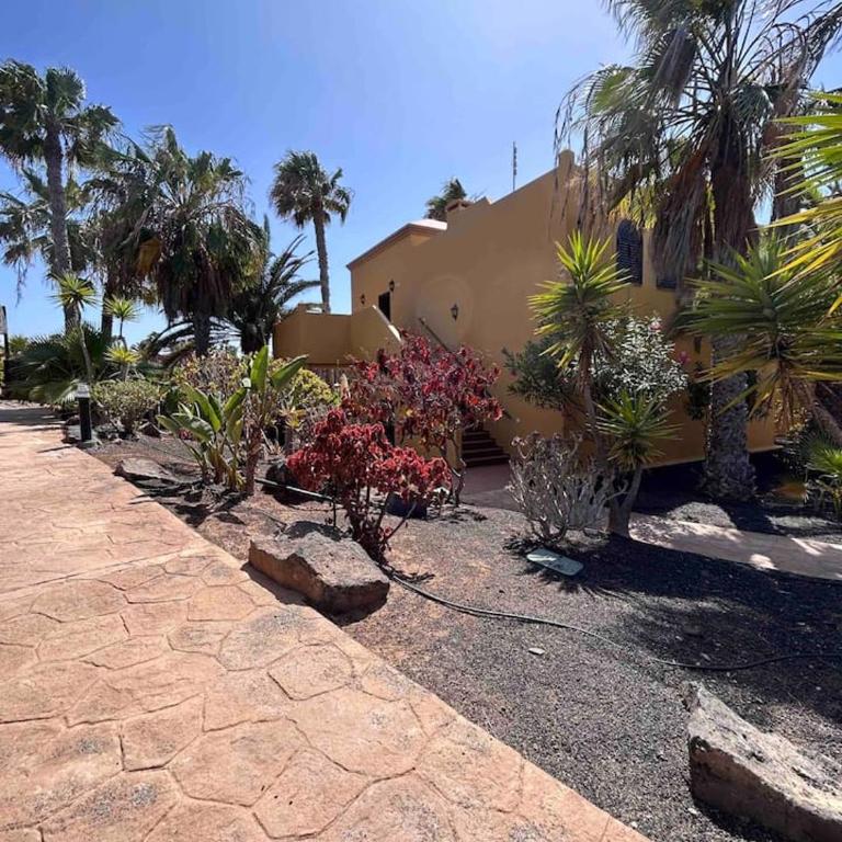 Sun & Sea Apartment in Corralejo - Apartamento de 1 dormitorio - 34