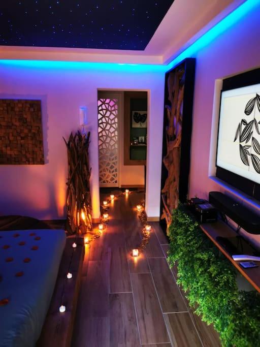 Cocon d'Evasion**** SPA PRIVATIF et ciels étoilés - Appartement 1 Chambre - 8