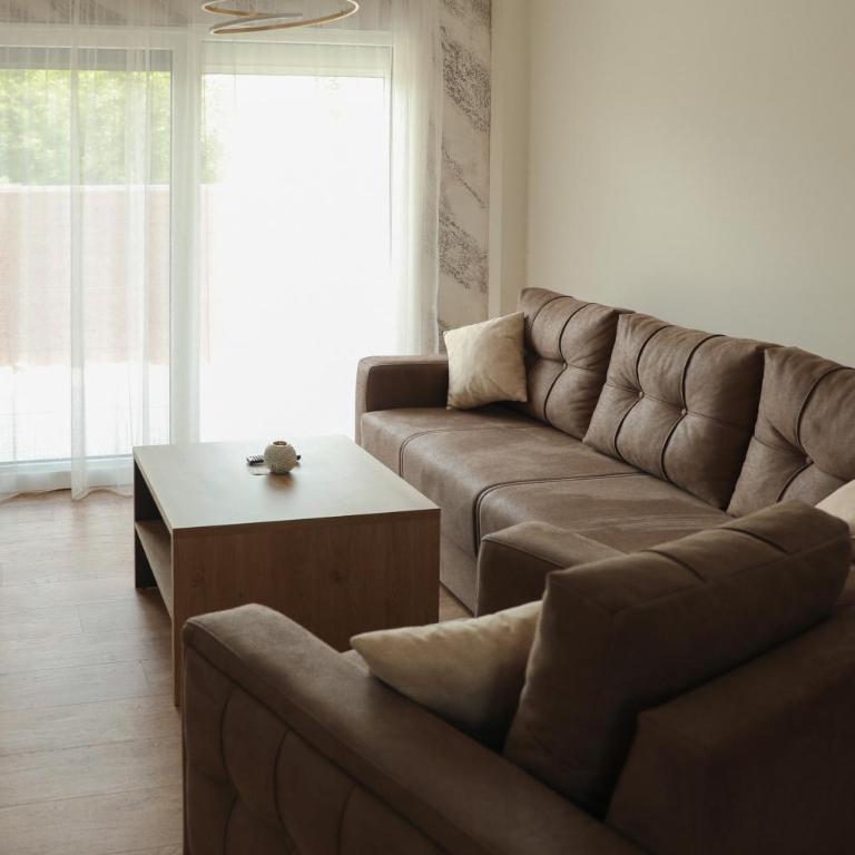 GOLDEN VIEW Sokobanja - Apartman sa 2 Spavaće Sobe - 4