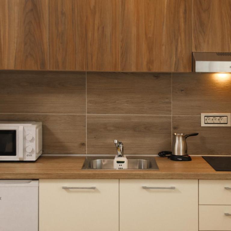 GOLDEN VIEW Sokobanja - Studio sa Bračnim Krevetom (King-size) - 5