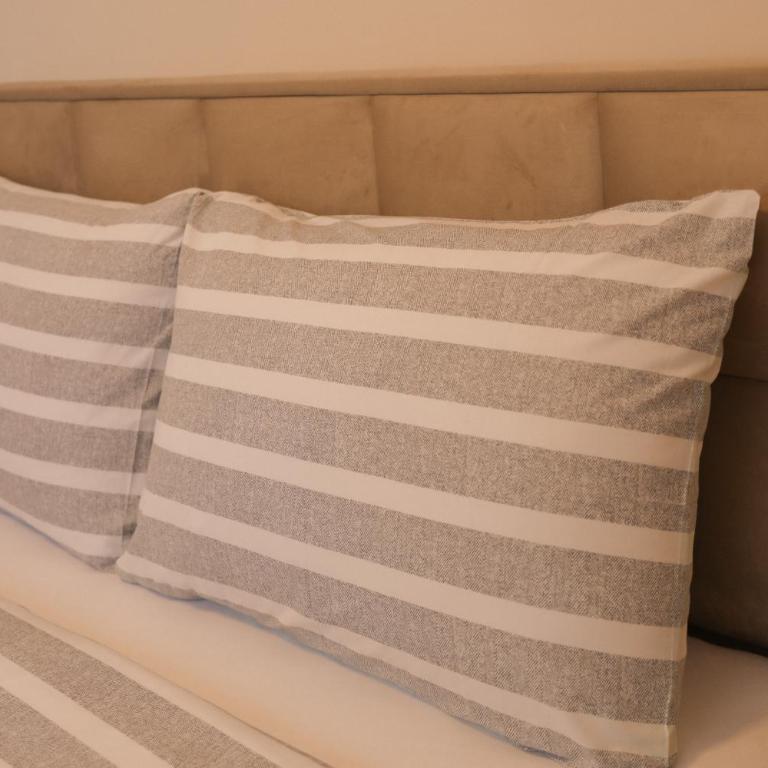 GOLDEN VIEW Sokobanja - Apartman sa 2 Spavaće Sobe - 15