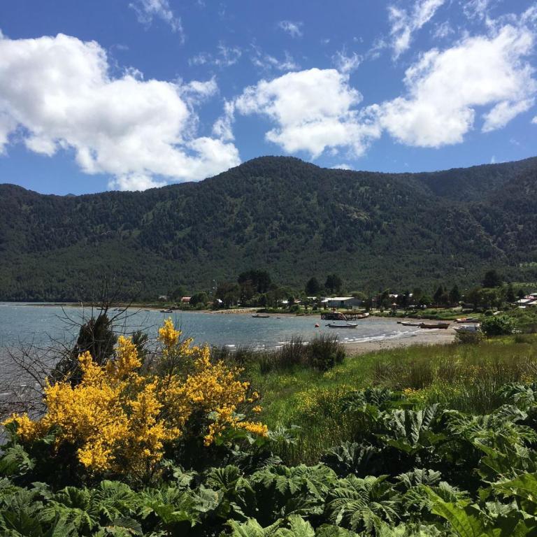 CABAÑAS RÜPÜ PUYUHUAPI - Casa de 2 dormitorios - 15