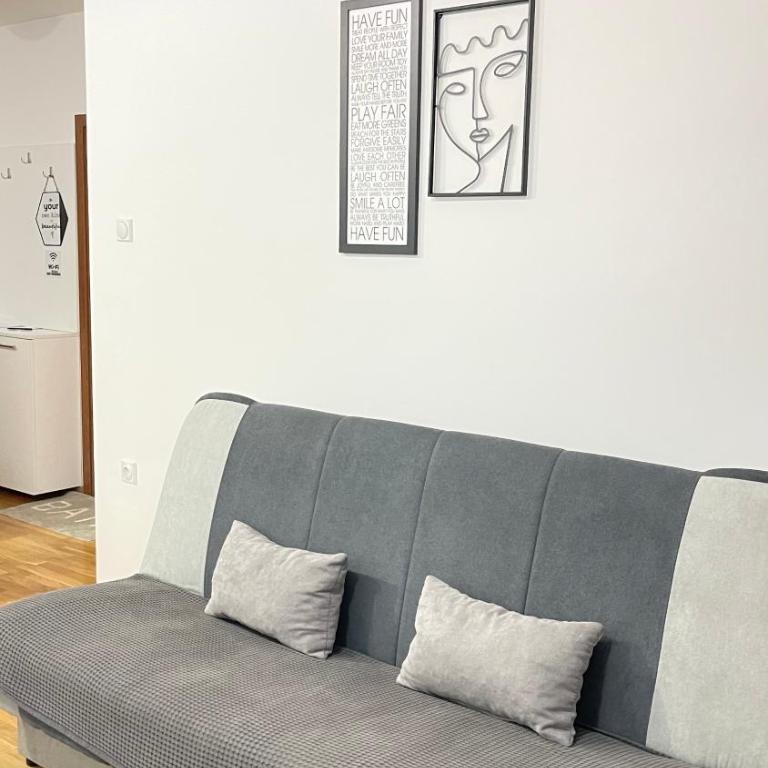 Family Home Niš , FREE parking - Apartman sa 1 Spavaćom Sobom - 3