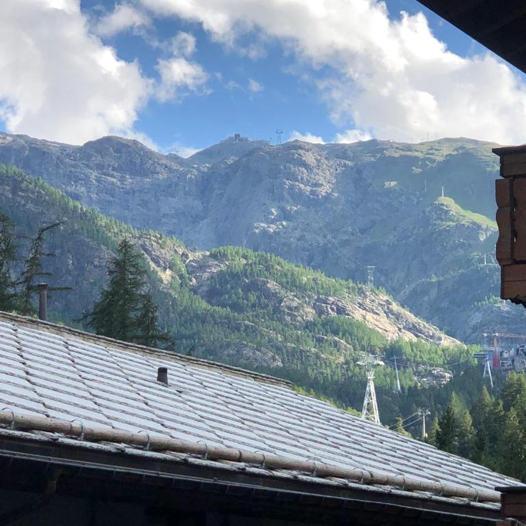 Snowflake-Ski in & out next to Matterhorn Express - Apartamento de 1 dormitorio - 20