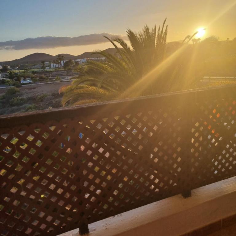 349 Apartamento Golf del Sur Albatros - Apartamento de 1 dormitorio - 17