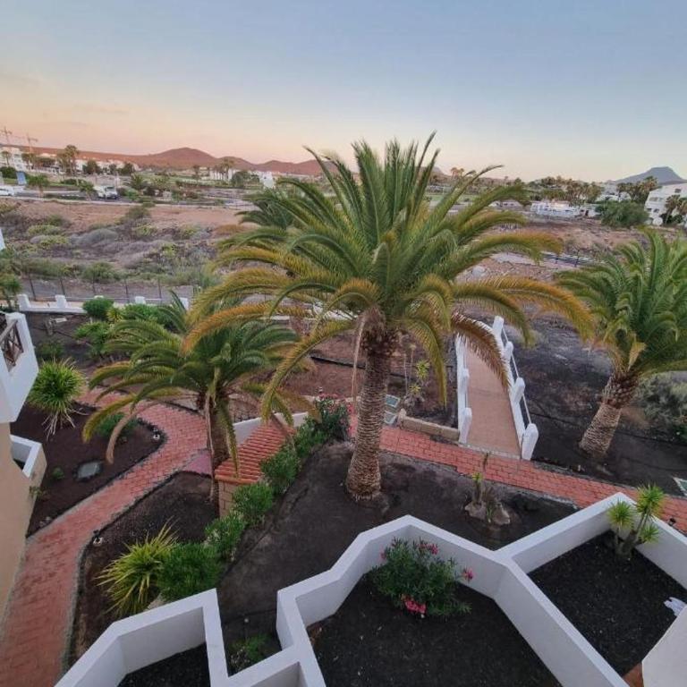 349 Apartamento Golf del Sur Albatros - Apartamento de 1 dormitorio - 38