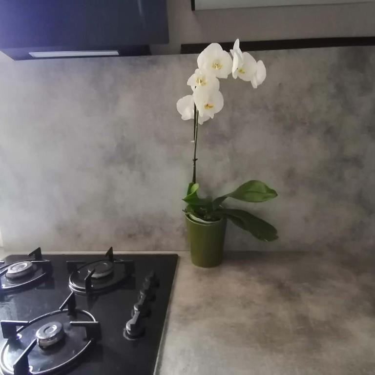 Maison 3 chambres+Centre ville+Terrase - Three-Bedroom House - 13