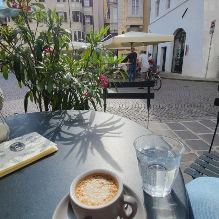 Bolzano 2-Room Central Mountain View, WiFi Netflix AC Lift - One-Bedroom Apartment - 11
