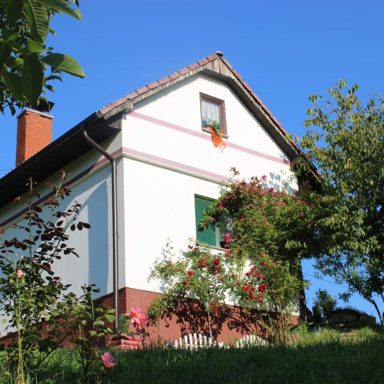 Dreamhouse Bosnia - Vikendica - 1