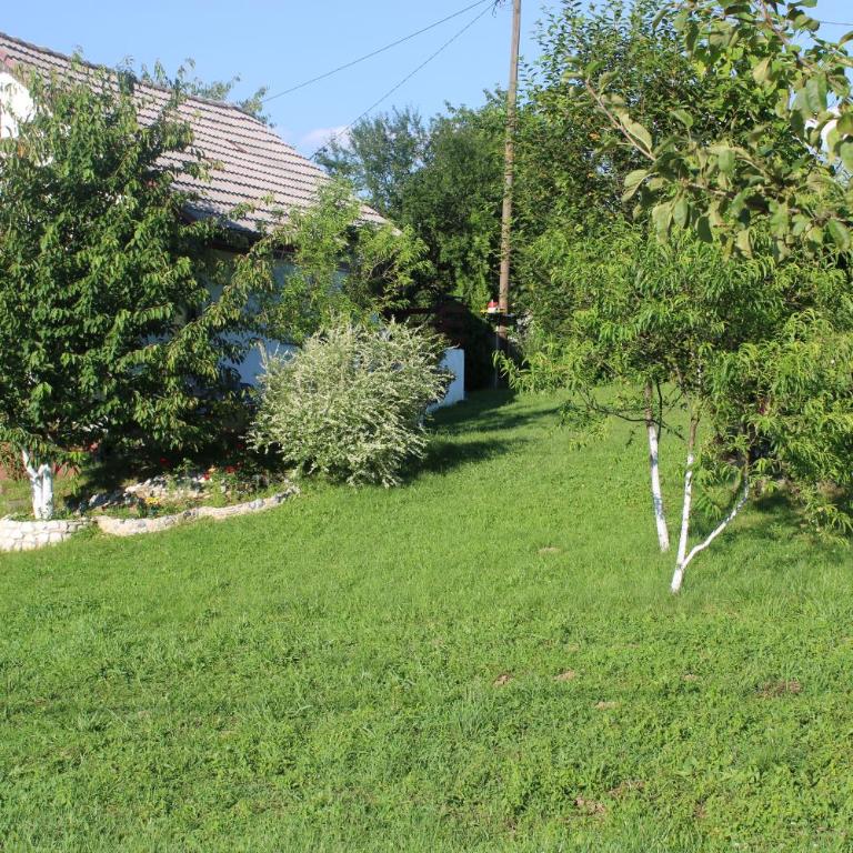 Dreamhouse Bosnia - Vikendica - 7