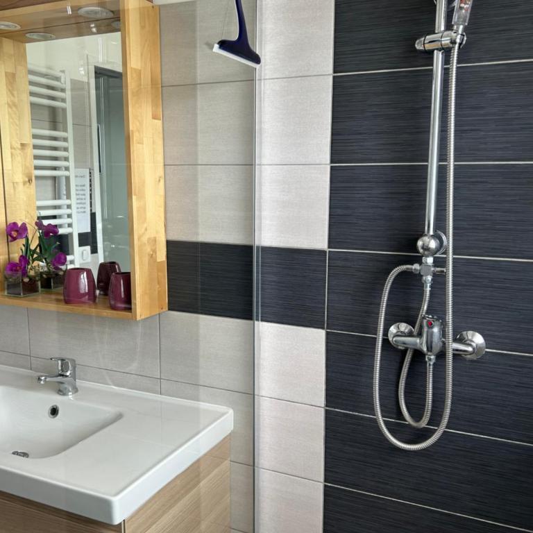 Le Montmieri - Appartement 1 Chambre - 10