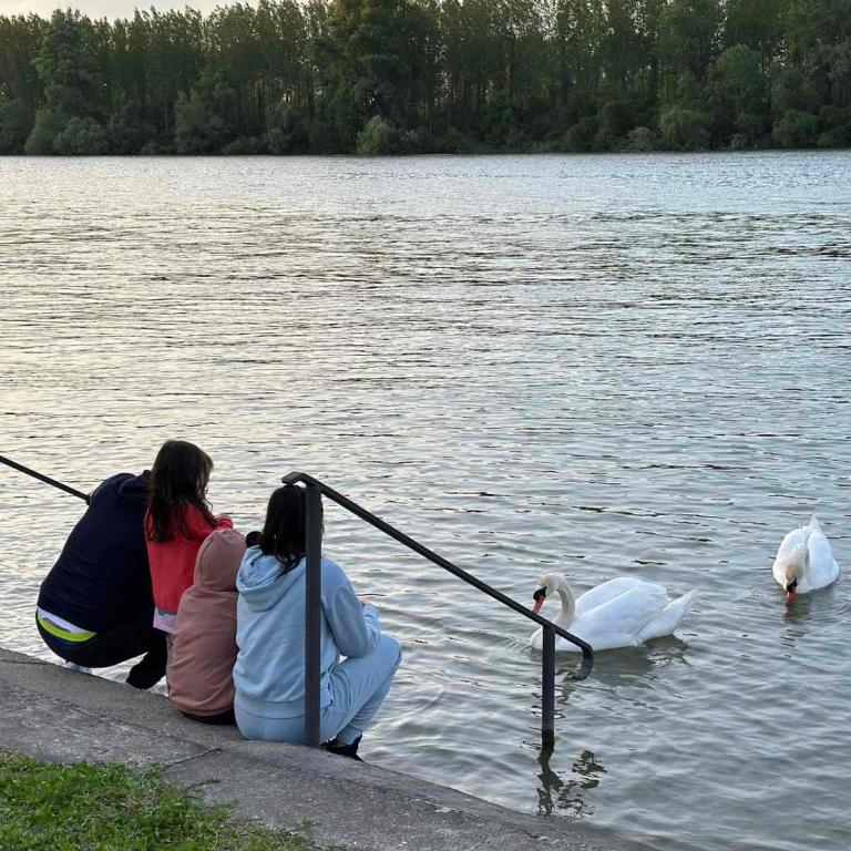 Kuca na Dunavu - Kuća sa 2 Spavaće Sobe - 19